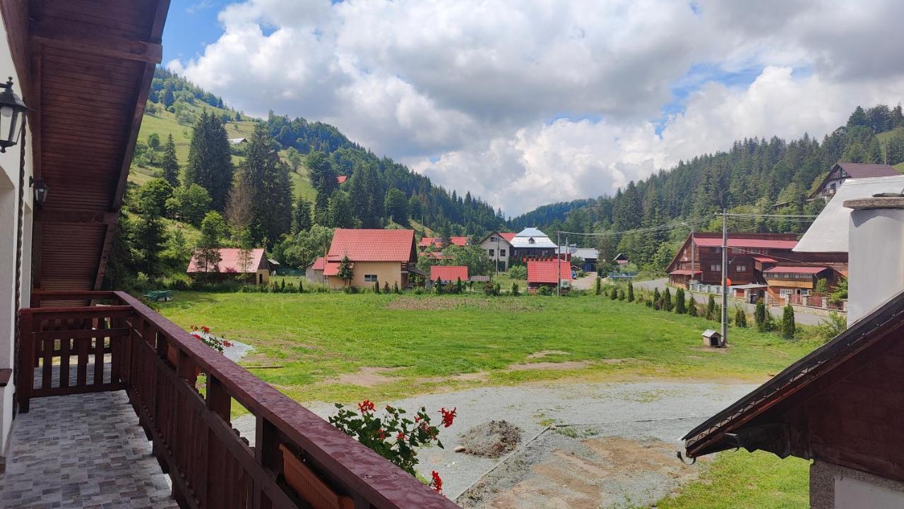 Pensiunea Trei Brazi Arieseni Exterior photo