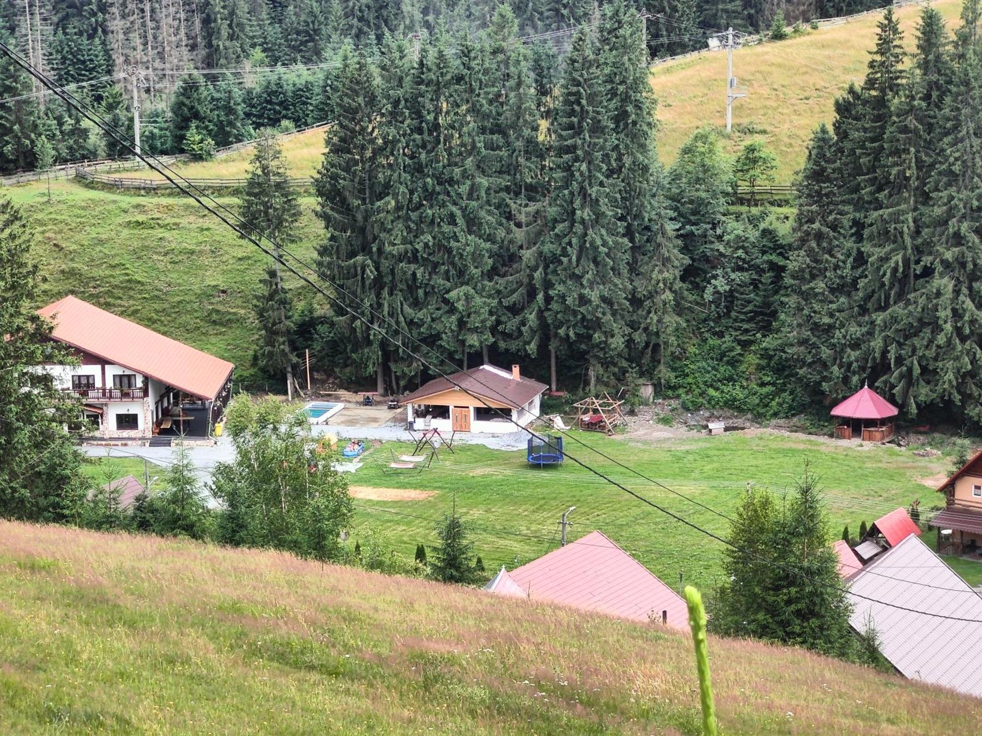 Pensiunea Trei Brazi Arieseni Exterior photo